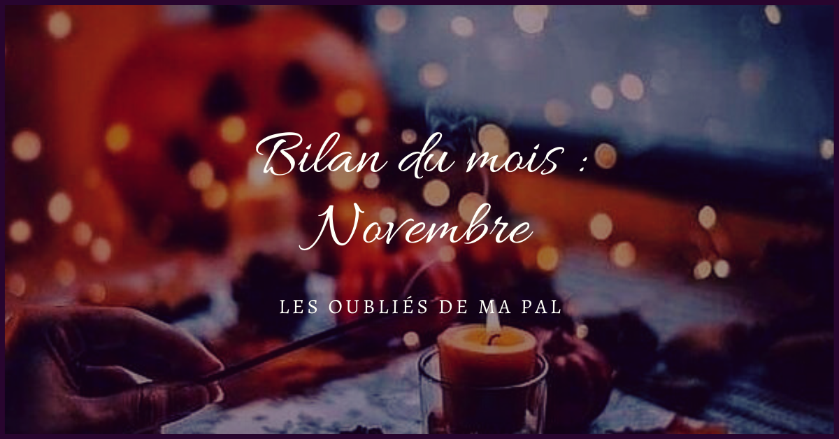 Bilan du mois de Novembre
