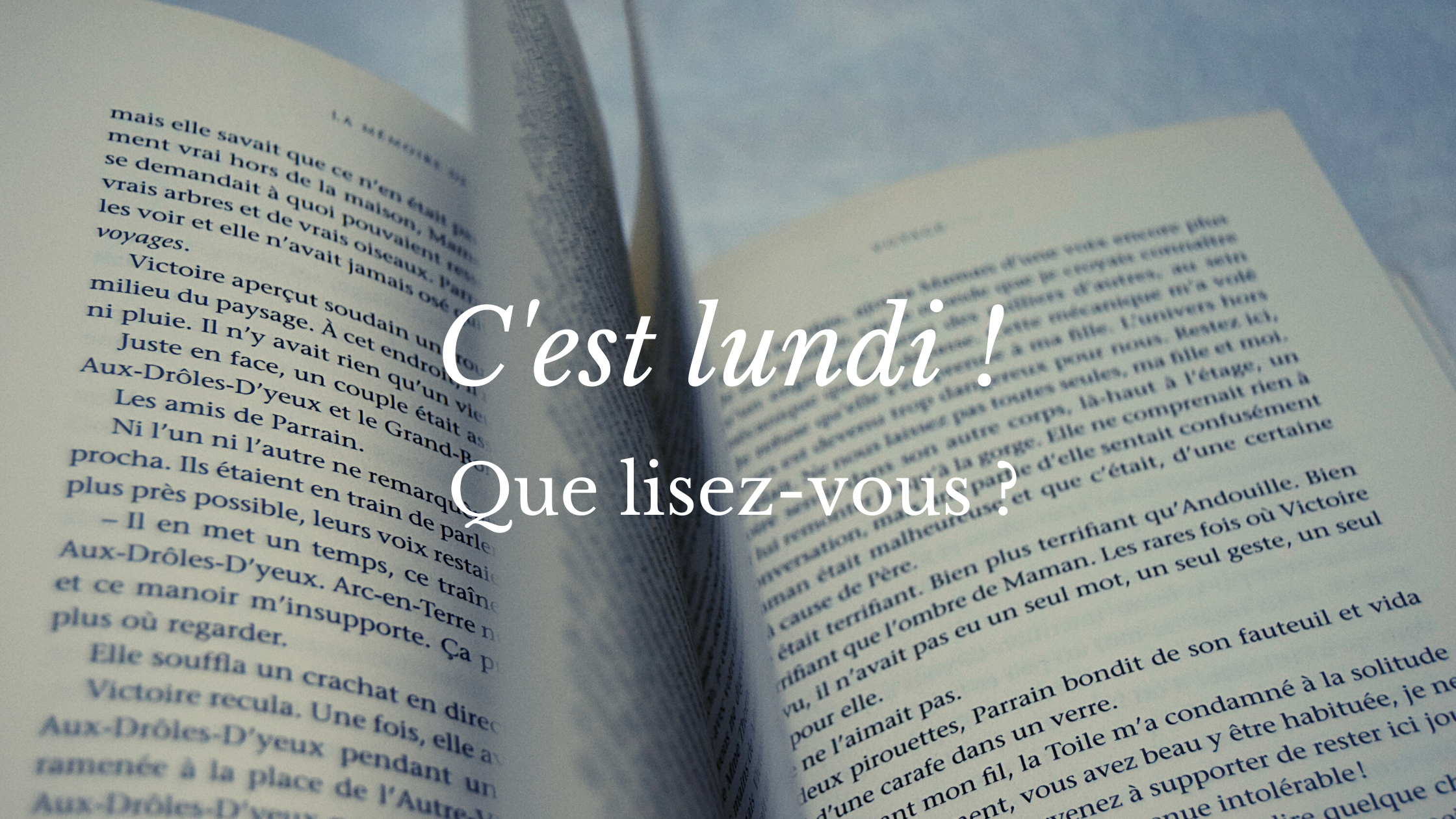 C'est Lundi ! Que Lisez-vous ? #2