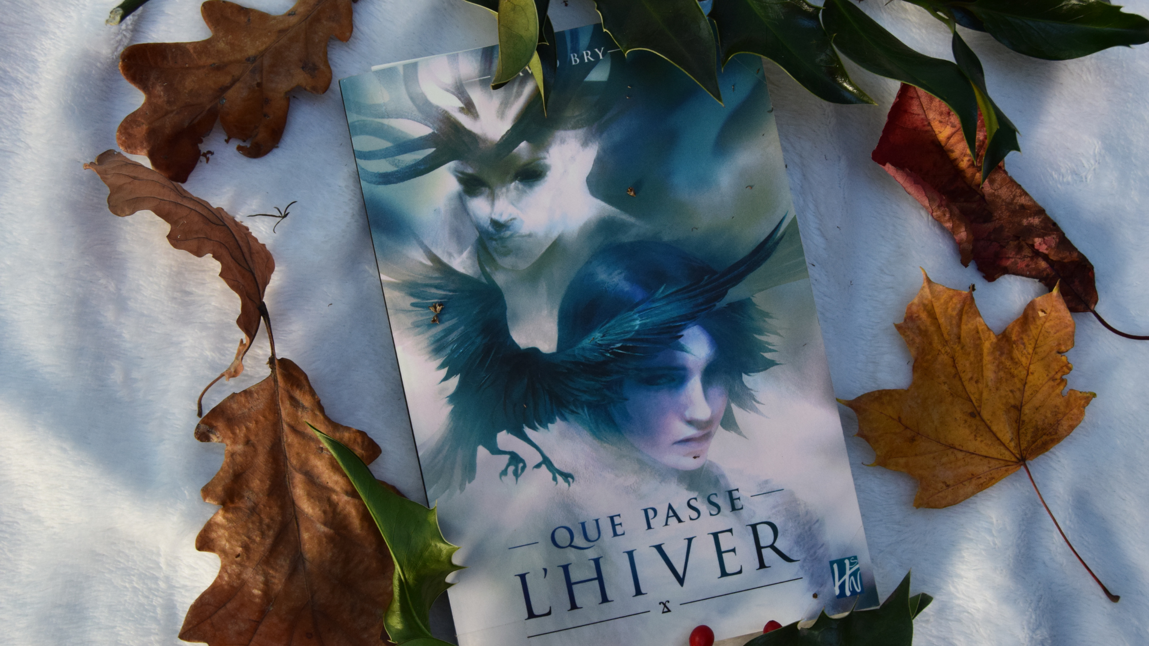 Que Passe l'Hiver, David Bry