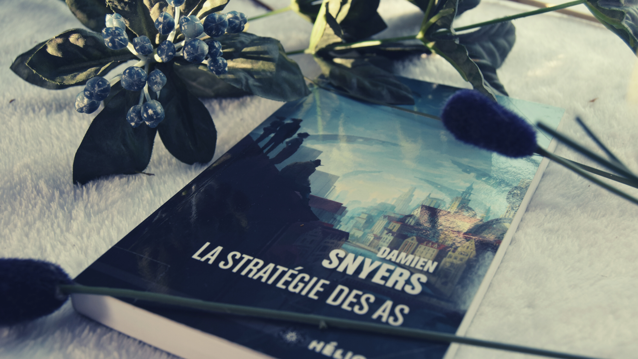 La Stratégie des As, Damien Snyers