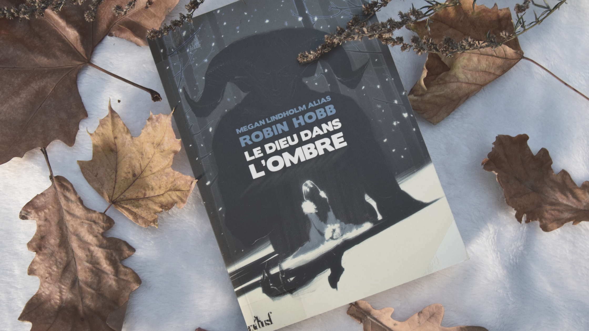 Le Dieu dans l'Ombre, Megan Lindholm (Robin Hobb)