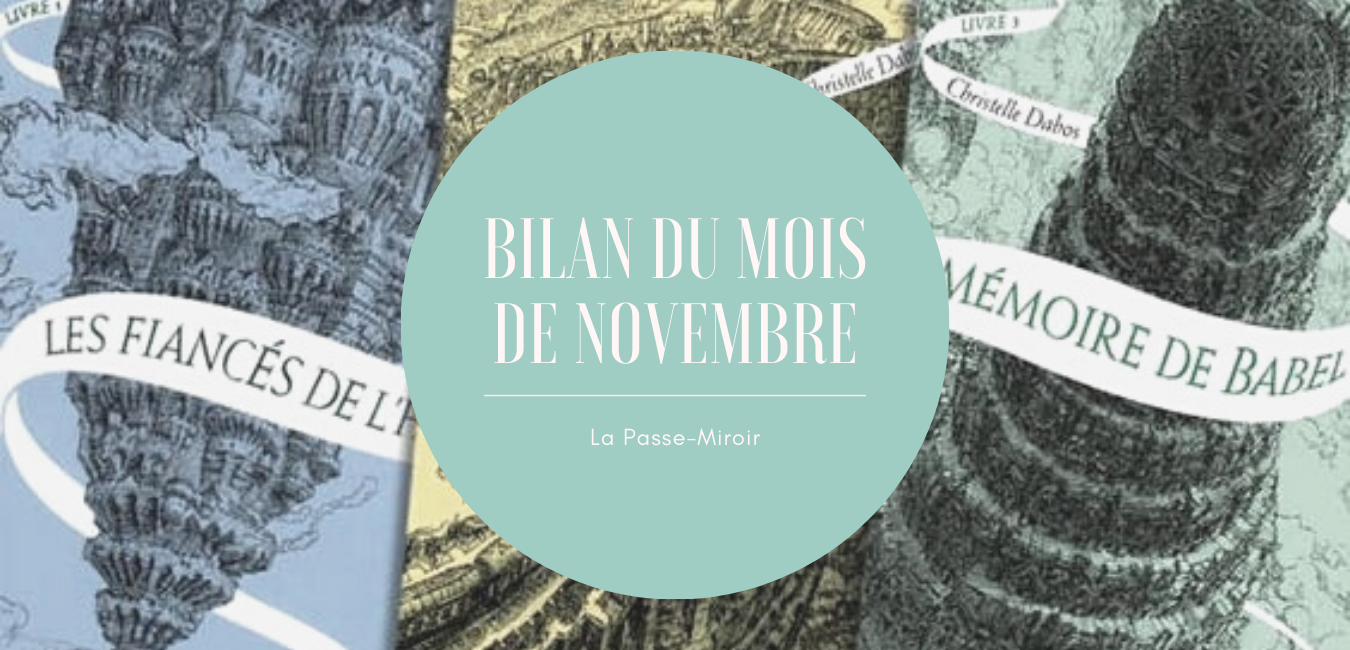 Bilan du mois de Novembre