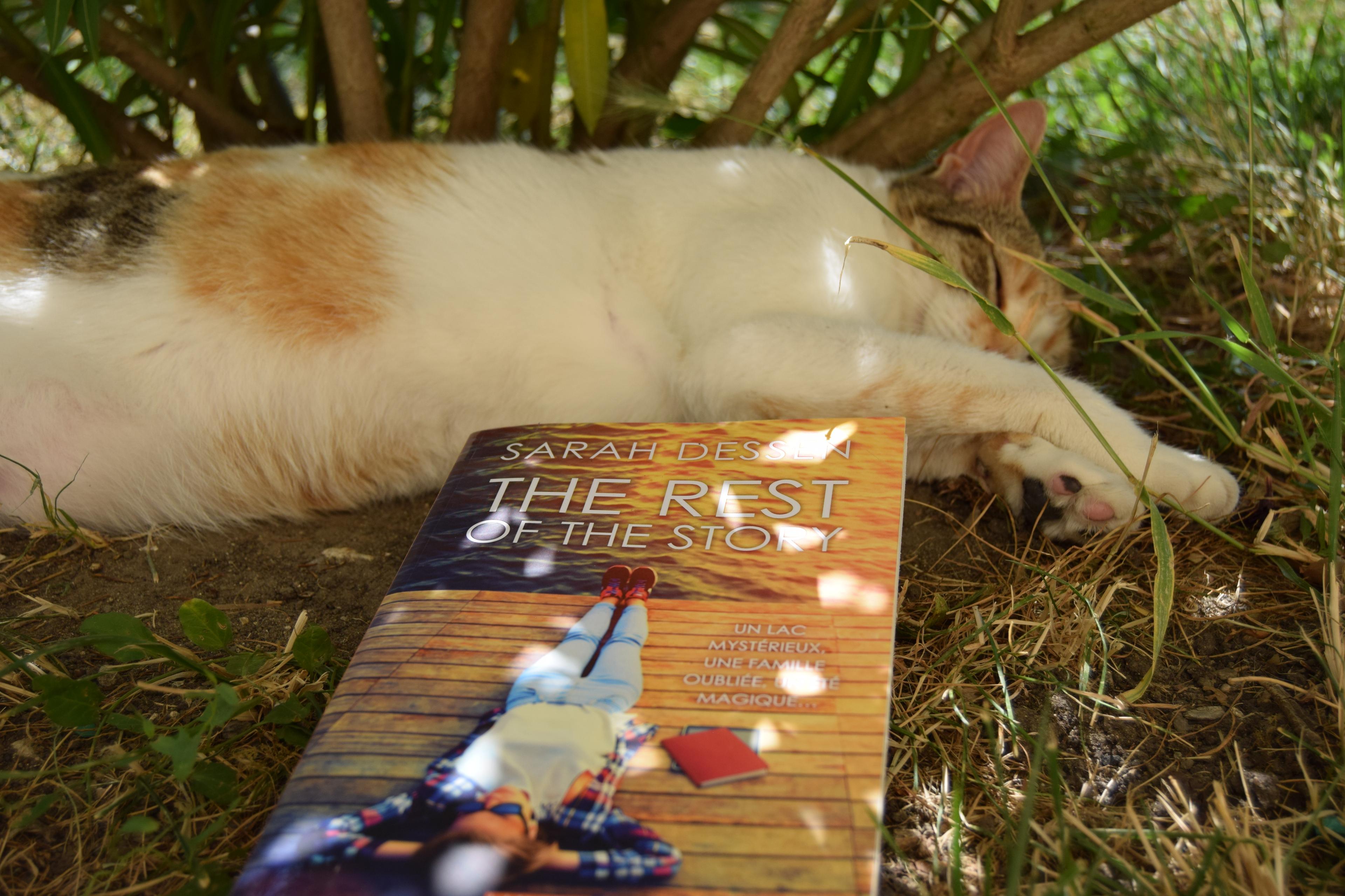 The Rest of the Story, Sarah Dessen