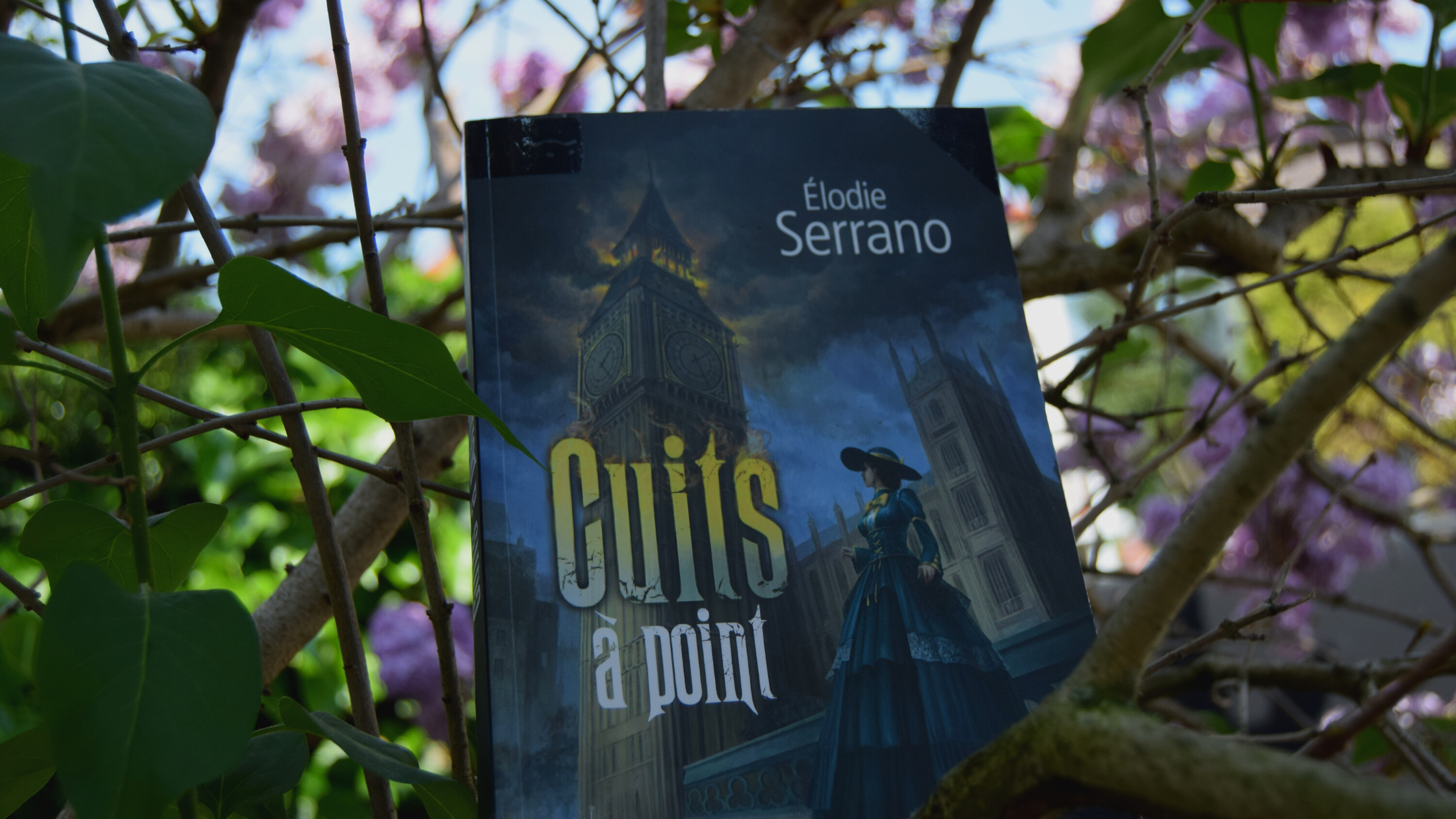 Cuits à point, Élodie Serrano
