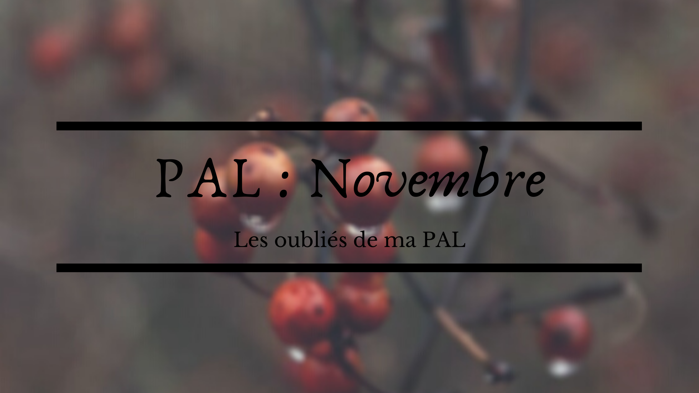 PAL : Novembre