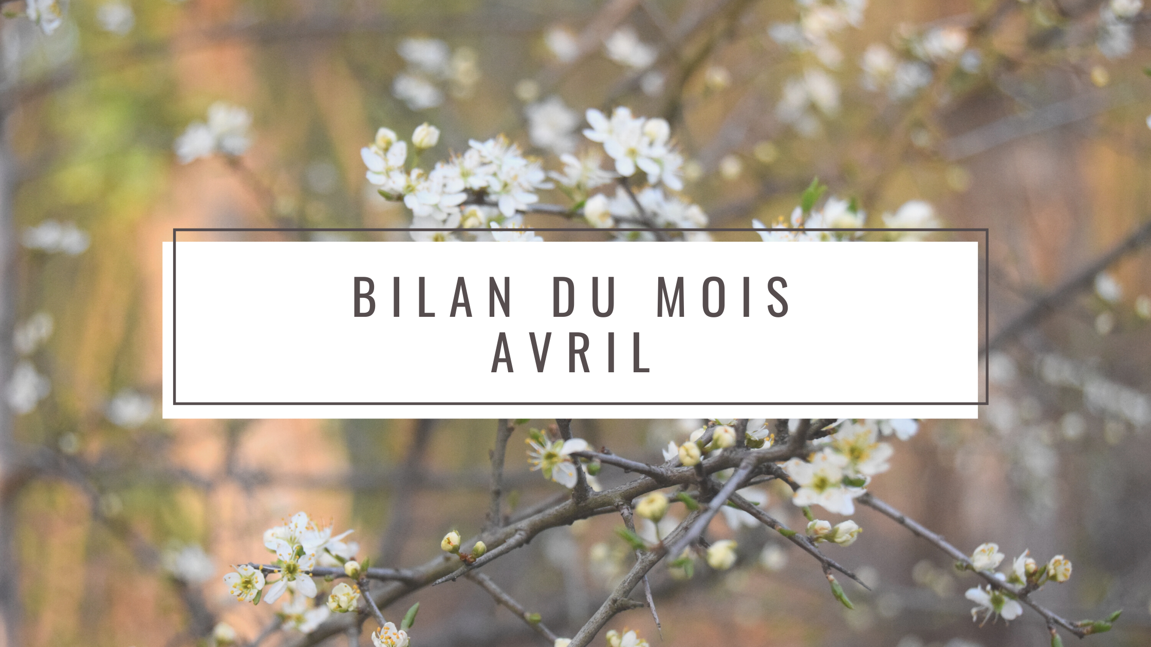 Bilan du mois: Avril