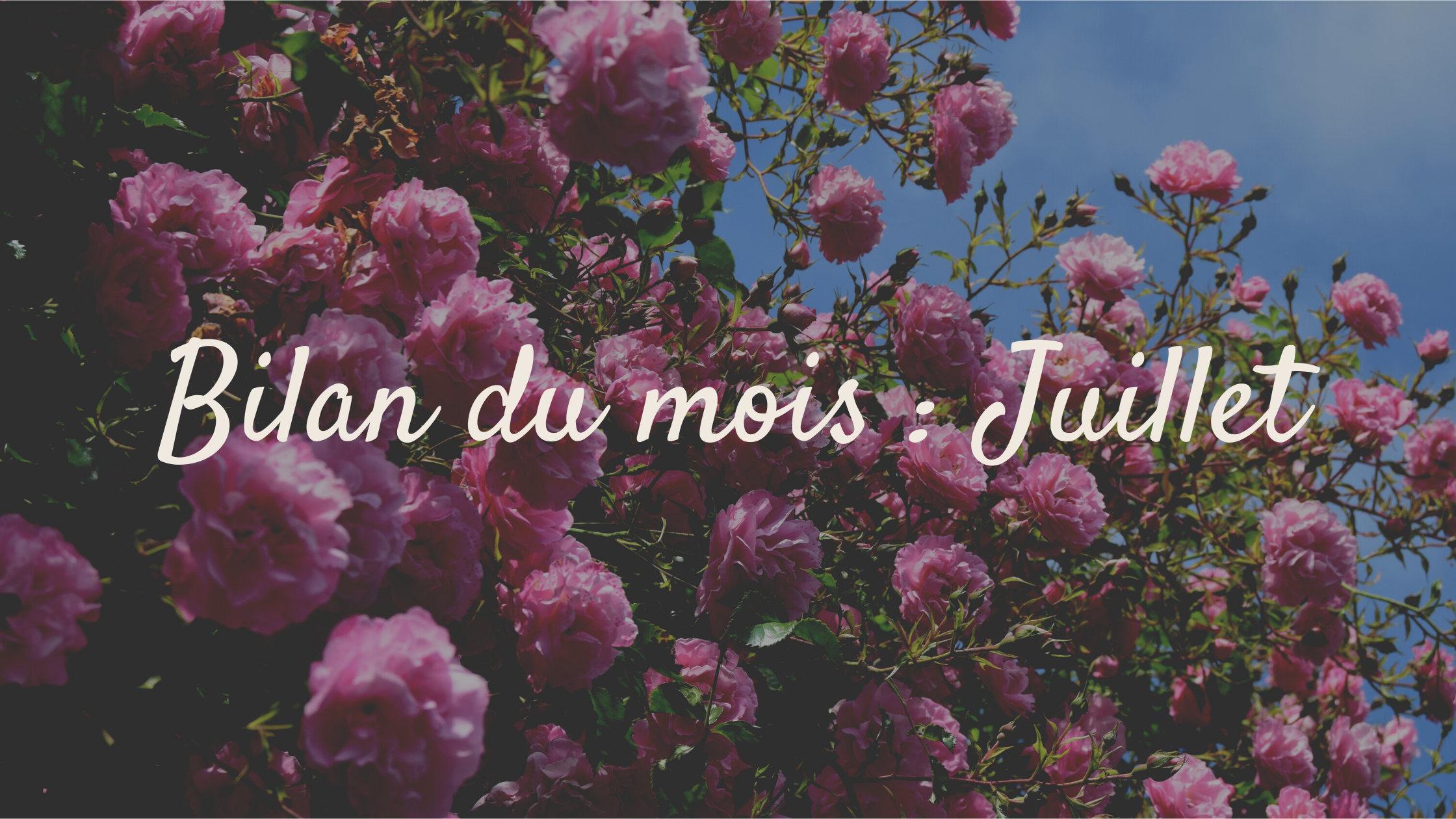 Bilan du mois de Juillet