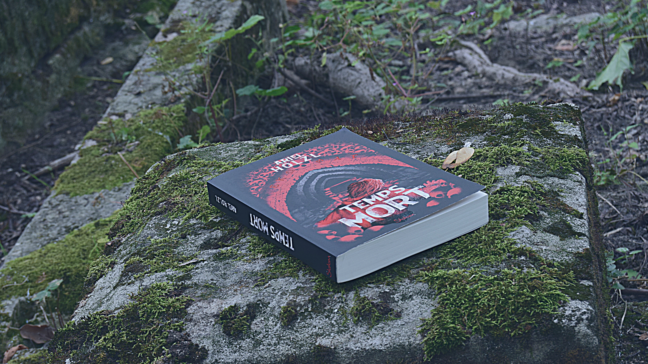 Temps Mort, Ariel Holzl